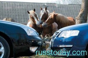 машины и лошади