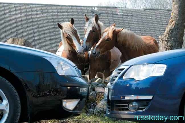 машины и лошади
