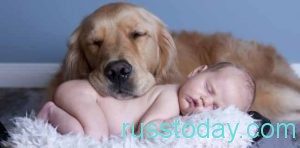 младенец и собака