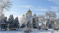 Зима в южном Краснодаре