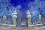 Точные прогнозы о зиме в Санкт-Петербурге