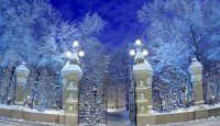 Точные прогнозы о зиме в Санкт-Петербурге