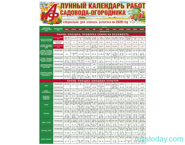 Лунный календарь садовода в Беларуси