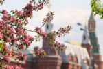 Погода на весну в Москве