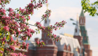 Погода на весну в Москве